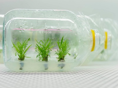 Image Product